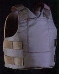 vest 3.jpg (4532 bytes)